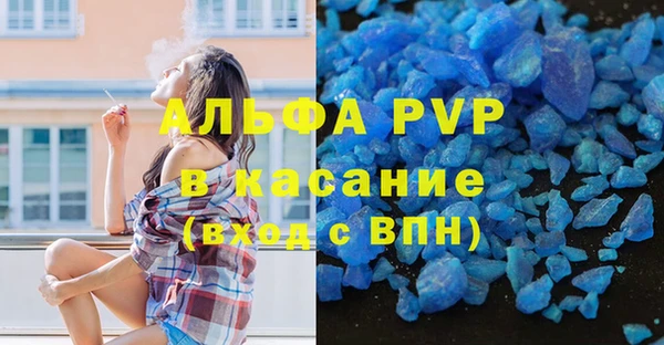 прущие грибы Вяземский