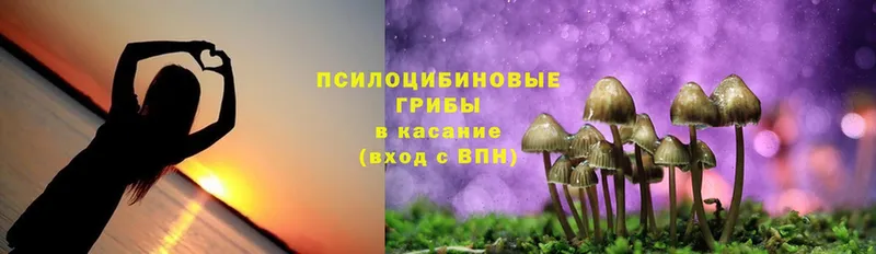 Псилоцибиновые грибы Cubensis  ссылка на мегу ССЫЛКА  Остров 